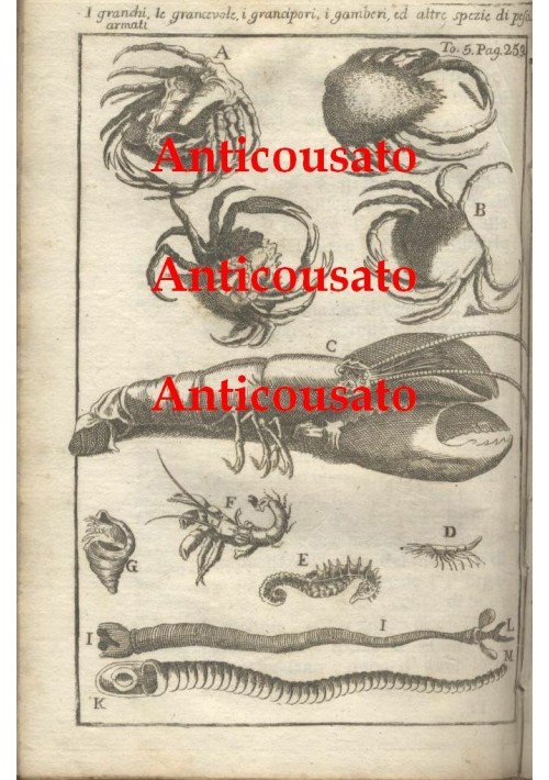 GRANCHI GAMBERI ARAGOSTE GRANCIPORI PESCI 1740 Incisione Stampa Antica Vintage